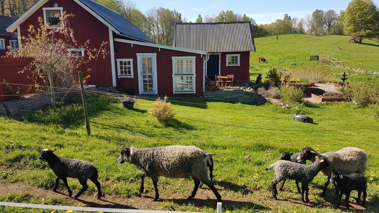 Lerdala Sjoebacken Gard Bed & Breakfast エクステリア 写真